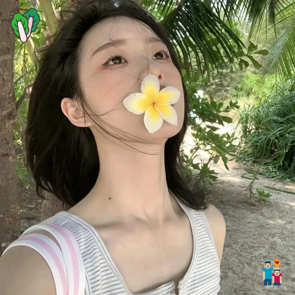 段凯先生